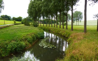 Notre programme en matière d’environnement