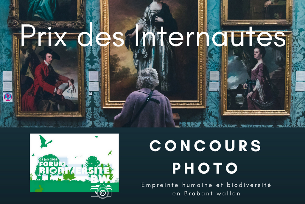 Visuel Prix des Internautes